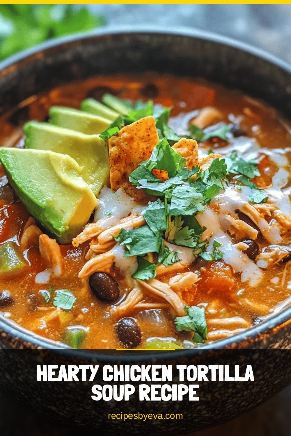 Hearty Chicken Tortilla Soup Recipe