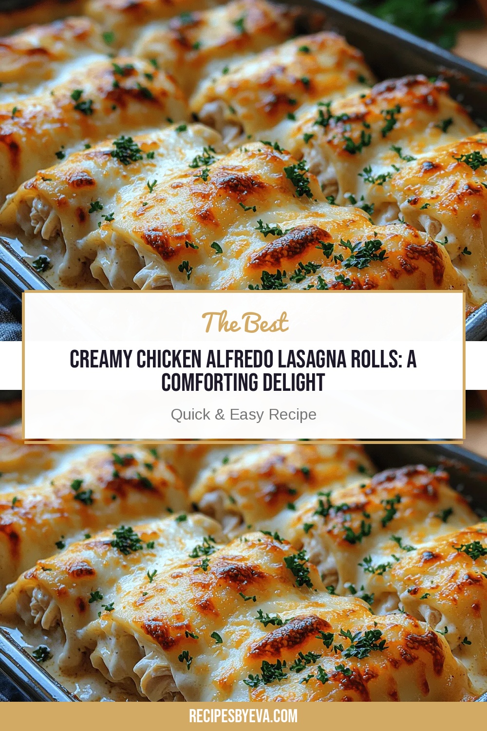 Creamy Chicken Alfredo Lasagna Rolls: A Comforting Delight