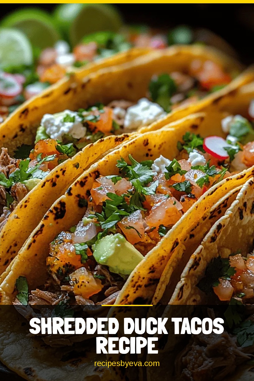 Shredded Duck Tacos Recipe