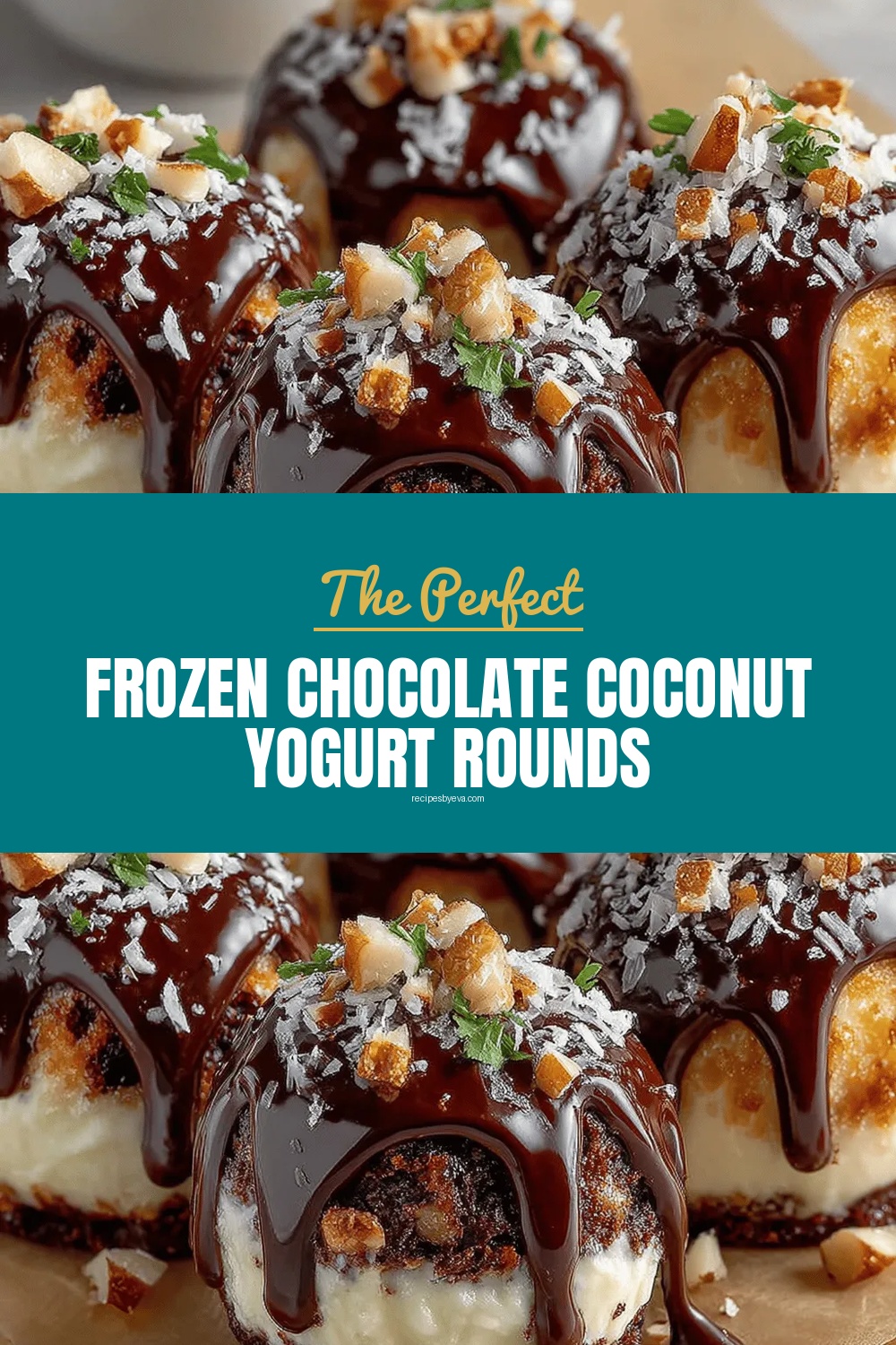 Frozen Chocolate Coconut Yogurt Rounds