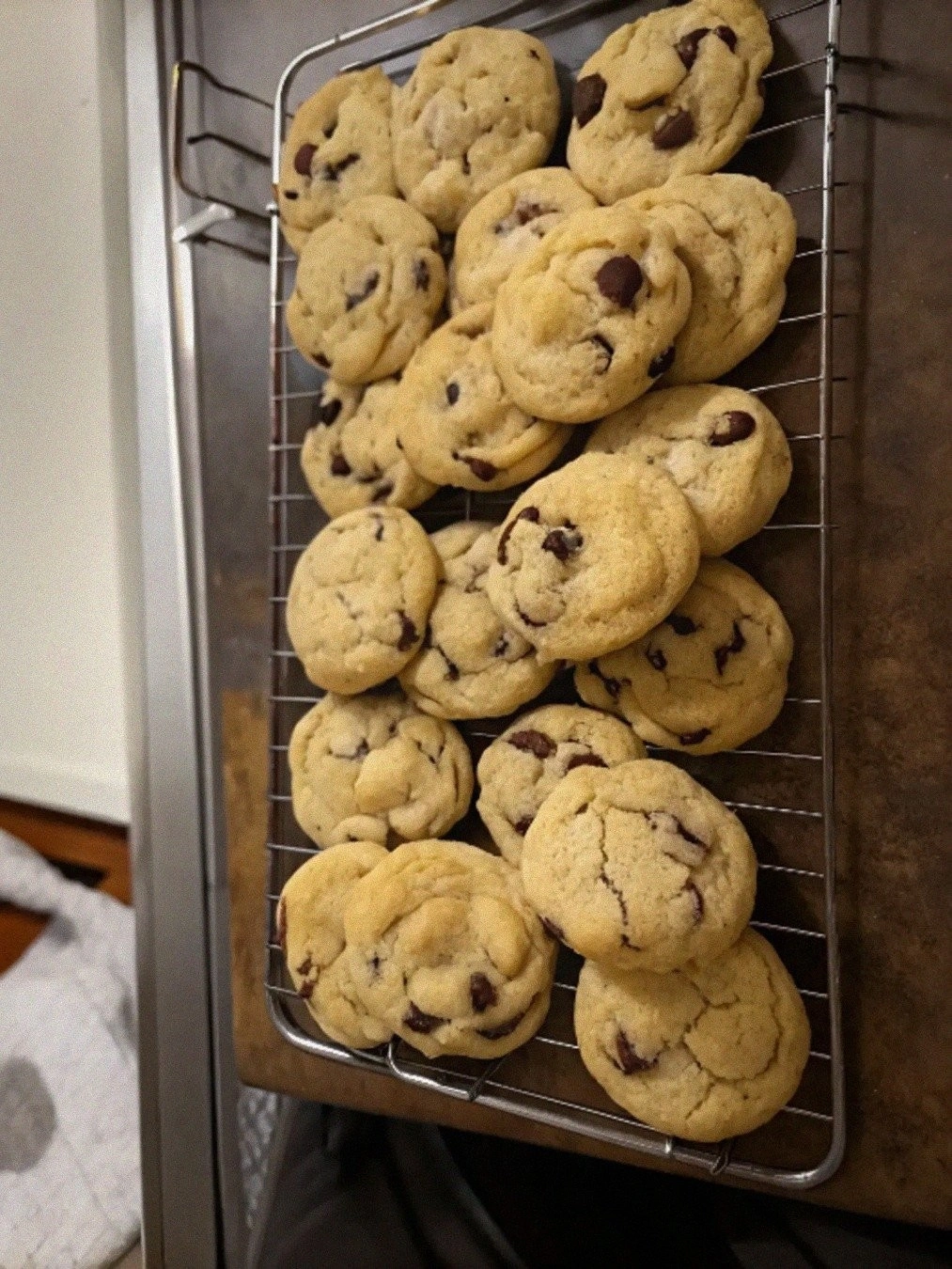 How I Perfected Sourdough Chocolate Chip Cookies – A Must-Try Recipe!